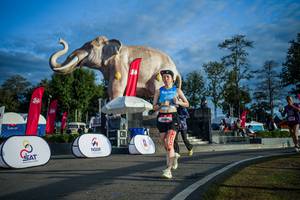 BIB: 
                            <button type="button" onclick="openModal(26541557)" class="btn btn-primary btn-sm float-right btn-popup" data-toggle="modal" data-target=".modal-high-quality">
                        <i class="fas fa-shopping-cart"></i> Add to Cart
                    </button>
                                            <button type="button" onclick="isThisMe(26541557, true)" class="btn btn-success btn-sm float-right btn-popup btn-isme hidden" data-toggle="tooltip" data-placement="bottom" title="นี่คือรูปของคุณใช่ไหม คลิกที่นี่เพื่อเอาเข้าอัลบั้ม">
                        <i class="fas fa-plus"></i> Add to album
                    </button>
                    <button type="button" onclick="isThisMe(26541557, false)" class="btn btn-warning btn-sm float-right btn-popup btn-isnotme hidden">
                        <i class="fas fa-ban"></i> Remove from album
                    </button>